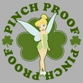 thumbnail image 2 of Boy's Peter Pan St. Patrick's Day Pinch Proof Tinkerbell  Graphic Tee Athletic Heather Medium, 2 of 5