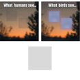 thumbnail image 1 of Square Decal help prevent wild birds from accidentaly striking windows, 1 of 1