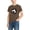 E272-Brown, variant on hengsof Boys' Short Sleeve Soccer T-Shirt Breathable Quick Dry Children's Sports Top Casual Loose Round Neck Shirt for Ages 2-13