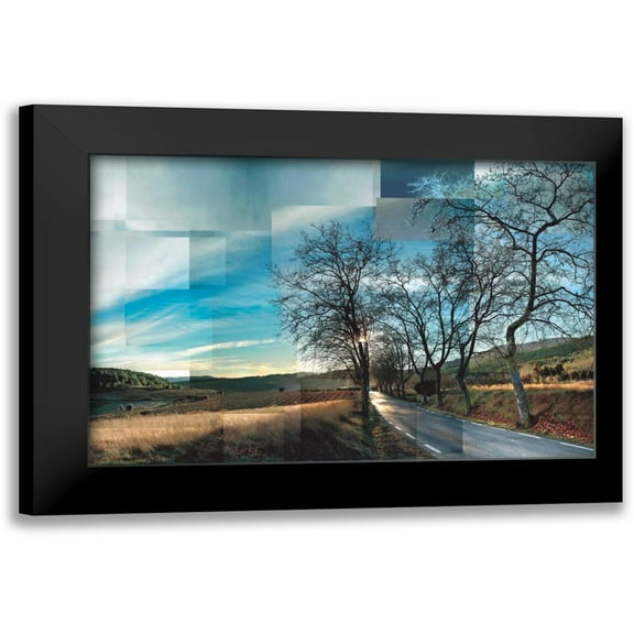 Ventosa, Pep 14x11 Black Modern Framed Museum Art Print Titled - Penedes Vineyards