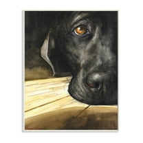 Stupell Industries Labrador Resting Pet Dog Portrait Brown Black Wall Plaque, 13 x 19, Design by George Dyachenko