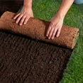 Expert Gardener Top Soil, 0.75 CF
