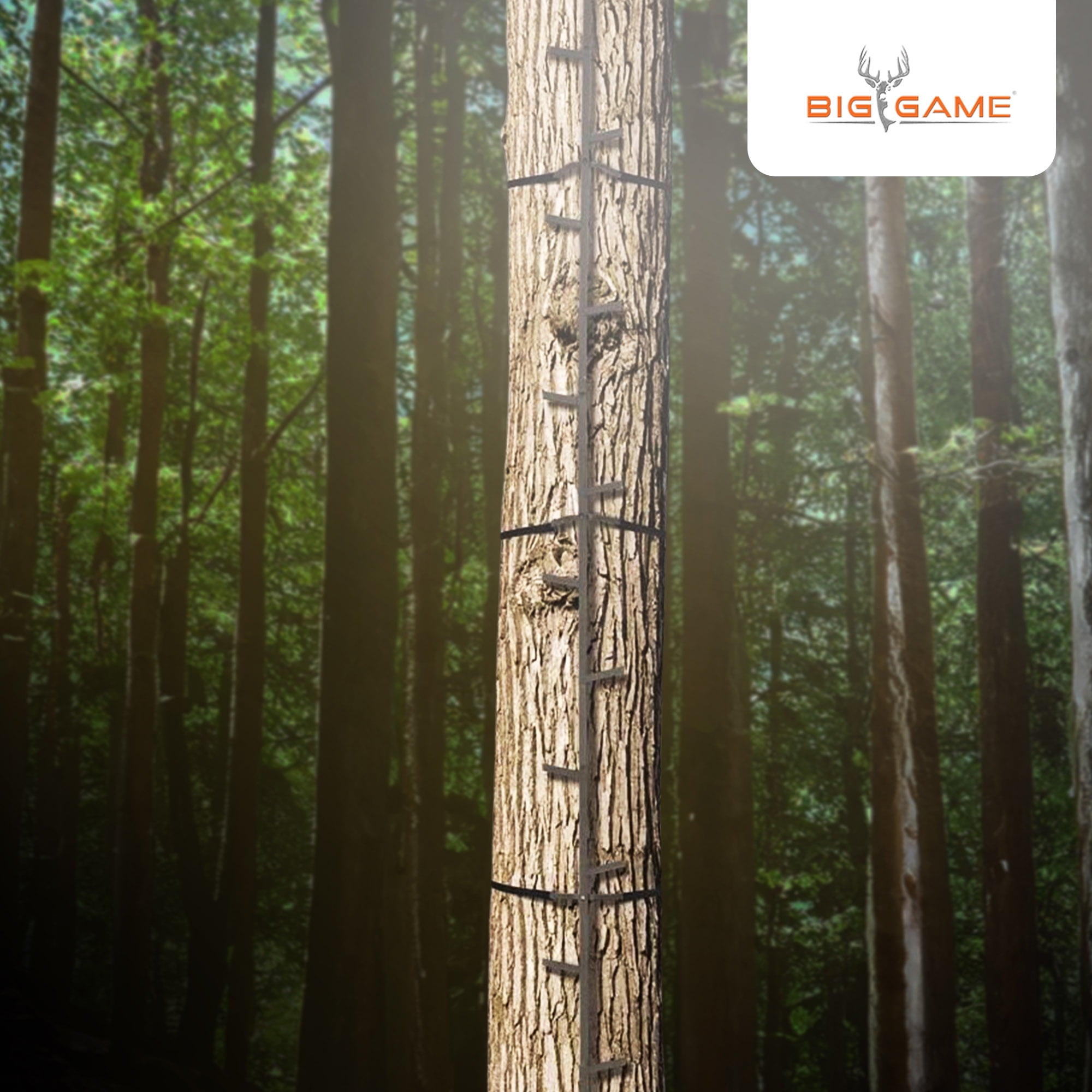 Big Game Quick-Stick Whitetail Deer Elk Mule Above Hunting Outdoors Slip Resistant Ladder Style Sections Climbing System