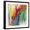 Black Frame, variant on Art.com March Rainbow Art Print by Silvia Vassileva, 16" x 16"