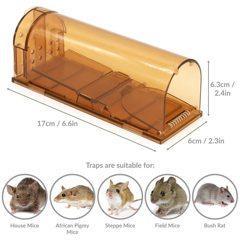 Mouse Traps Rat Mice Killer Snap Trap Power Rodent Heavy Duty Pest