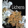 thumbnail image 1 of Lichens of North America, 1 of 2