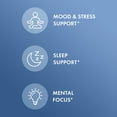 thumbnail image 3 of Dr. Mercola L-Theanine Plus GABA, 60 Capsules, Non-GMO, Gluten Free, Soy Free, 3 of 7