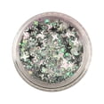 thumbnail image 2 of Body Glitter Concerts Music Festival Rave Accessories Face Glitter Gel Sequins Glitter Face Paint Chunky Glitter For Eye Lip Hair Sparkling Gel, Eye Shadow Plate, 2 of 7