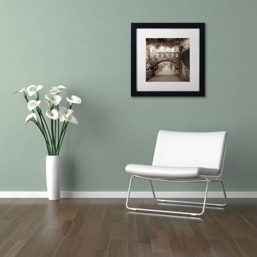 Trademark Fine Art "Giardini Italiano VI" Canvas Art by Alan Blaustein, White Matte, Black Frame