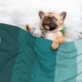 thumbnail image 3 of Disketp Teal Color Dog Blanket/Bed Cover for Dogs and Cats,Puppy Essentials-Large, 3 of 8