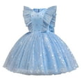 thumbnail image 4 of Liyamei Robe de Princesse pour Tout-Petits Manches Volantes Robe de Performance pour Bébé avec Jupe en Maille Chaude Filles, 2-3 Ans, 4 of 4