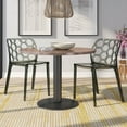 thumbnail image 2 of Modern Dynamic Dining Chair, Set of 2 - Transparent Black, 2 of 7