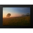 thumbnail image 2 of Mierzejewski, Krzysztof 24x17 Black Modern Framed Museum Art Print Titled - The Summer Field, 2 of 5