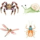 thumbnail image 1 of Pegatinas para ventana de 6.3" con diseño de insectos, arañas, caracoles, libélulas y cucarachas, estáticas, para puertas corredizas de vidrio, decorativas, de doble cara., 1 of 9