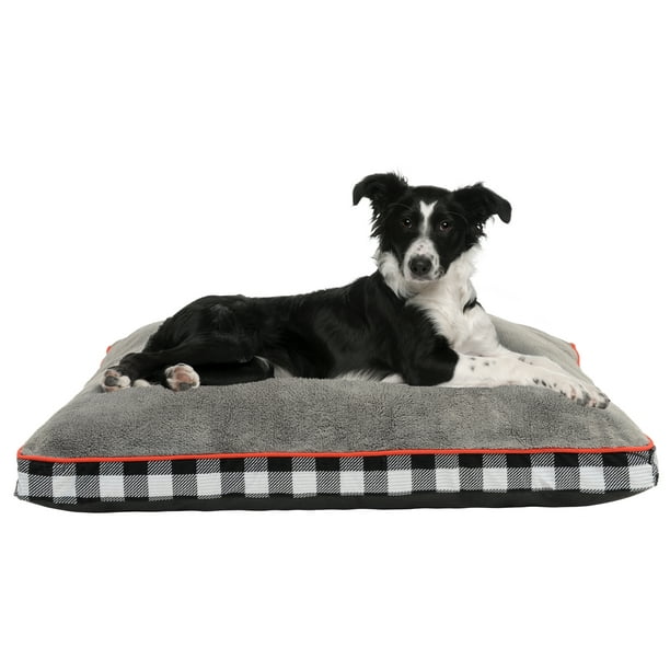 Nap Cap Officially Licensed Pet Products Of Nba Mlb Nhl College
