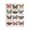 Vintage Butterfly Study Panel, variant on Stupell Industries Eclectic Black Floating Frame Canvas Art, 17 x 21, by Jennifer Lambein