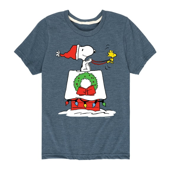 Peanuts - Snoopy & Woodstock House Sleigh - Toddler And Youth Short Sleeve Graphic T-Shirt