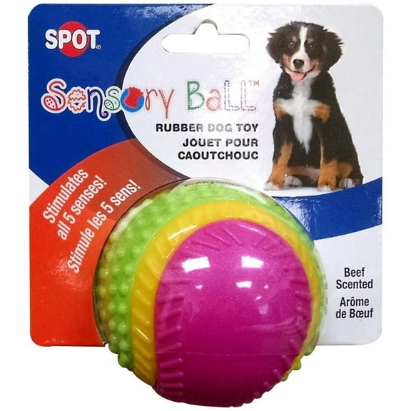 Ethical Pet Spot Sensory Ball 3.25 inch  Colorful Rubber Squeaker Toy for Dogs