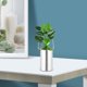 thumbnail image 2 of 3 unids Flowerpot decorativo macetas suculentas de macetas decorativas de hierro contenedor, 2 of 8