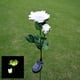 thumbnail image 4 of Luces LED solares de simulación de rosas para jardín al aire libre (doble cabezal) Luces de patio, 4 of 5