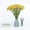 Yellow, variant on YIKA Simulation Flower Simulated Carnation Home Decor Outdoor Wedding Flower Scene Decoration Fake Flowers And Green Plants Festival Decorations White