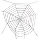 thumbnail image 3 of New Black Spider Web / Cobwebs for Decor CUTICAT Víspera de Todos los Santos, 3 of 7