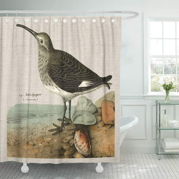 SUTTOM Bird Vintage Sandpiper by Sea Shorebird Ocean Beach Surf Shower Curtain 60x72 inch