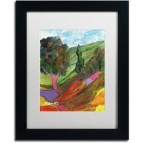 Trademark Fine Art "Untouched Hillside" Canvas Art by Manor Shadian White Matte, Black Frame