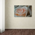 thumbnail image 3 of Trademark Fine Art "Perfezione" Canvas Art by Monica Fleet, 3 of 3