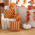 thumbnail image 3 of Fall Pillow Covers 18x18 inch Set of 2 Fall Decoration Pumpkin Decor White Autumn Outdoor Pillow Cover Thanksgiving Decoration for Home Couch TH-120A18, 3 of 6