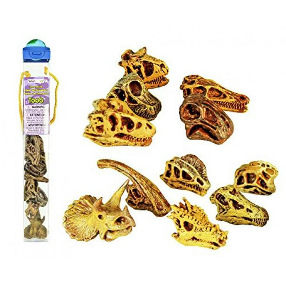 dinosaur skulls toob