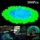 thumbnail image 1 of Guijarros luminosos, 300 piezas de guijarros decorativos que brillan en la noche en azul y verde para jardines al aire libre, acuarios, caminos y viveros, 1 of 5