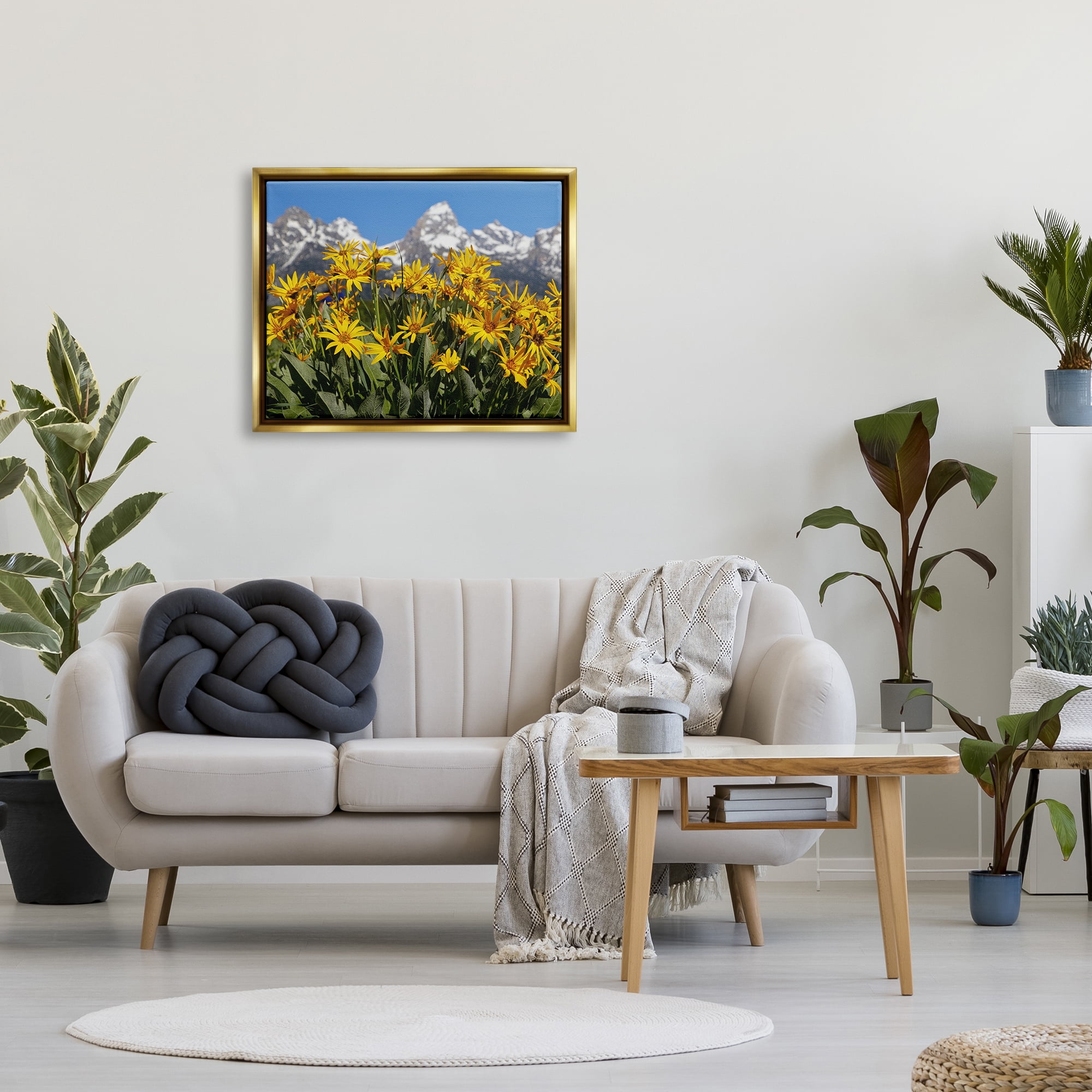Stupell Industries Daisy Meadow & Mountains Landscape Photography Gold Floater Framed Canvas Art Print Wall Art, 31 x 25