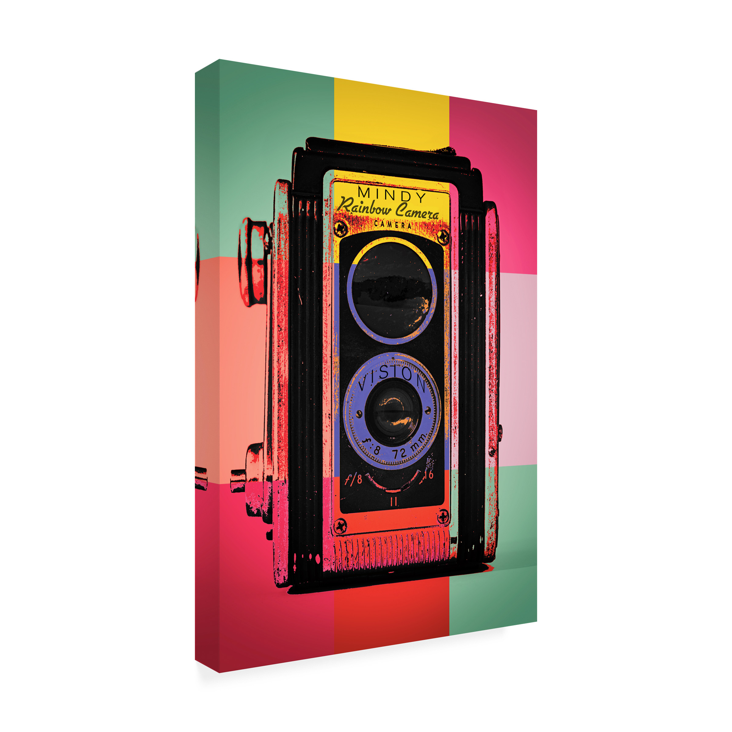 Trademark Fine Art 'Color Snap' Canvas Art by Mindy Sommers