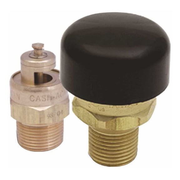 Cash Acme 22398-0000LF 3/4 in. Vacuum Relief Valve Bronze