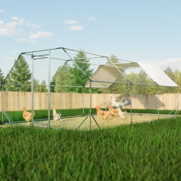 Large Metal Walk in Chicken Coop Cage Farm Poultry Run Hutch Hen House, 10 ft. x 20 ft.