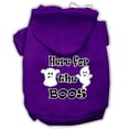 thumbnail image 1 of Here For The Boos Screenprint Dog Hoodie Purple Xxl (18), 1 of 1