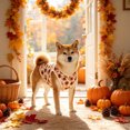 thumbnail image 7 of Thanksgiving Day Dog Shirts, Fall Pumpkin Turkey Tank Tops for Small Medium Dogs, Vests for Cats Puppies (White, X-Large), 7 of 7