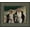 Grey, variant on 10 X 8 Hope by Liz Lemon Swindle With blackwood Frame