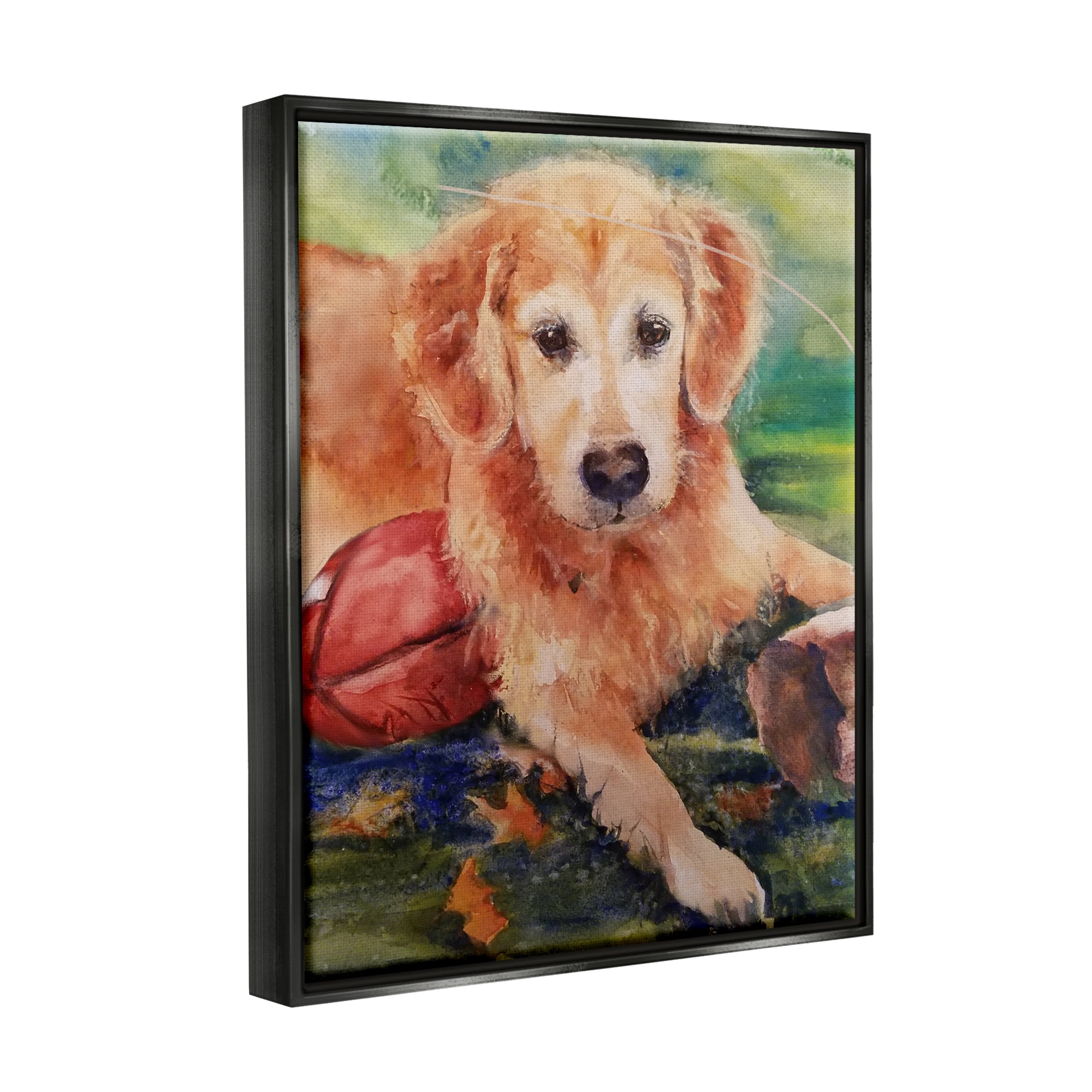 Stupell Industries Retriever Dog with Football Animals & Insects Painting Black Floater Framed Art Print Wall Art, 25 x 31