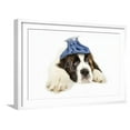 thumbnail image 1 of St Bernard Dog 14 Week Old Puppy with Ice Pack on His Head, Framed Art Print Wall Art Sold by Art.Com, 1 of 5