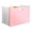 Pink, variant on 1Pc Pink Pastel Aesthetics Expanding Wallet Box, 13 Pocket Freestanding Paper Management Folder, 0.3mm Thickened Receipt Organizer