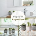 thumbnail image 3 of Teresa's Collections 3 Pcs Artificial Succulents Plants in Ceramic Pot for Table Decor Assorted Faux Succulents for Indoor Living Room Bedroom Decor, 3 of 11