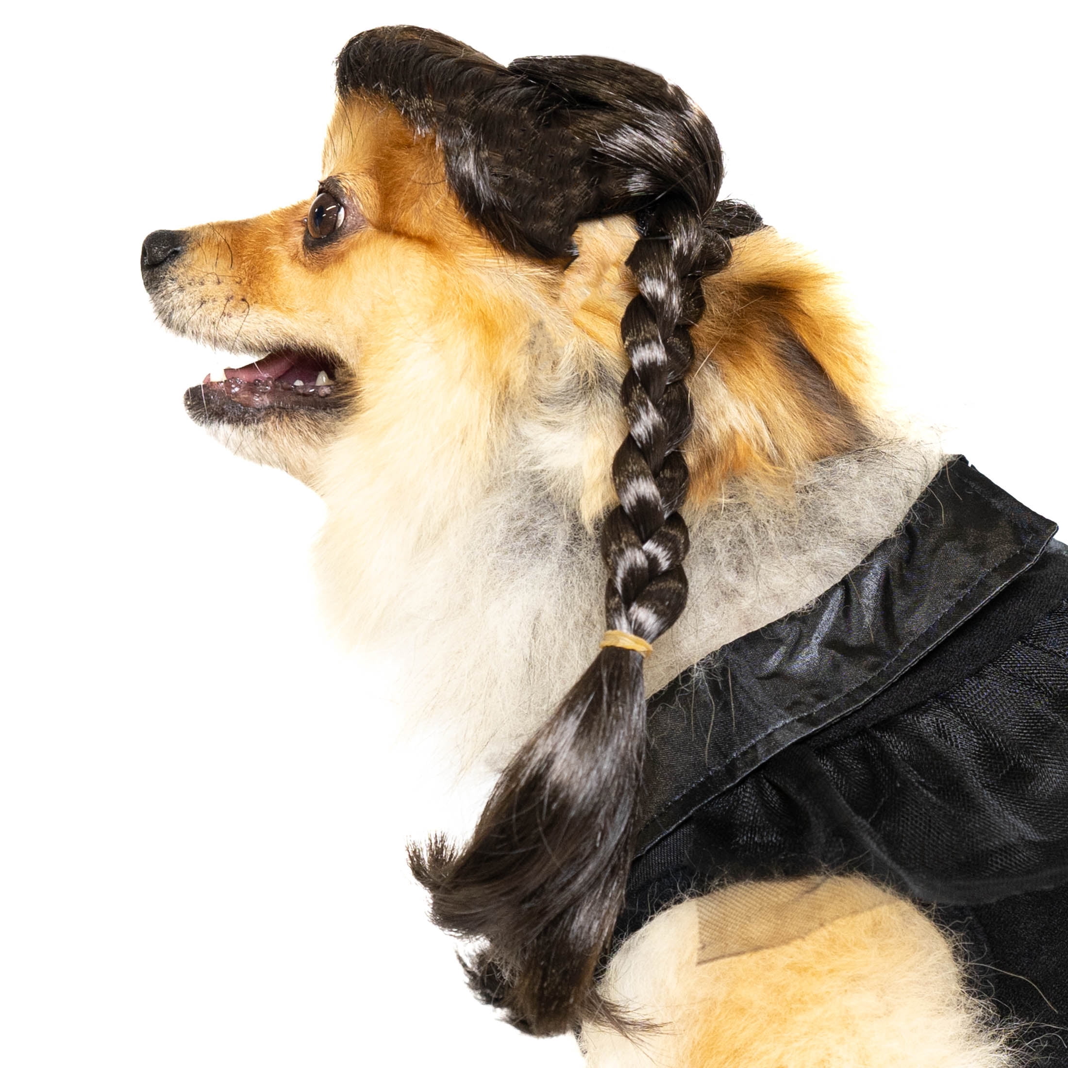 Vibrant Life Halloween Gothic Girl Costume for Dogs and Cats, Black, Small