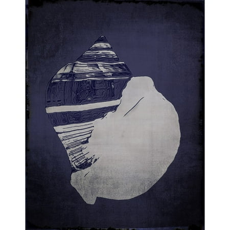 Graffitee Studios Shells Fiber Conch in Indigo Graphic Art on Wrapped Canvas