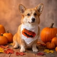 thumbnail image 4 of 1 Pcs Halloween Dog Bandanas, Triangle Dog Scarf Pumpkin Spider Bat Ghost Pet Bandana Bibs Handkerchief For Small Medium Large Dogs Puppy Halloween Holiday Birthday Party Supply, 4 of 7
