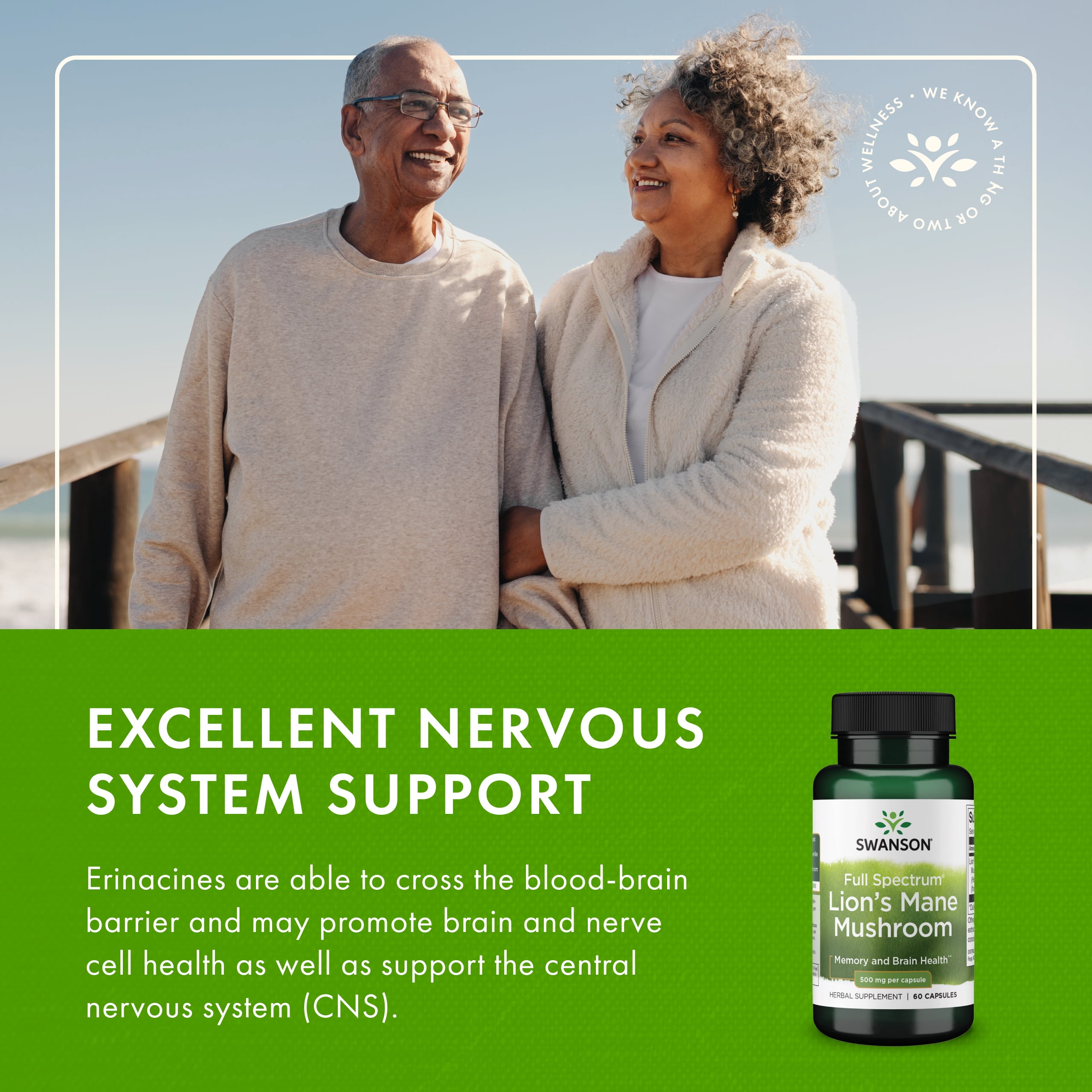 Swanson Lion's Mane Mushroom-Herbal Supplement Promoting Mental Focus, Clarity, & Memory Support-Traditional Brain Booster Supplement Made from Hericium Erinaceus-(60 Capsules, 500mg Each) 2 Bottles