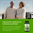 thumbnail image 2 of Swanson Lion's Mane Mushroom-Herbal Supplement Promoting Mental Focus, Clarity, & Memory Support-Traditional Brain Booster Supplement Made from Hericium Erinaceus-(60 Capsules, 500mg Each) 2 Bottles, 2 of 7