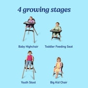 Graco Ready2Dine DLX 4-in-1 High Chair for Baby and Toddler, Pristine Blue