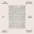 thumbnail image 3 of JONATHAN Y LONDON SHAG 3 x 5 Area Rug, Algaida Moroccan Diamond - Beige/Dark Gray, SHG104A-3, 3 of 9